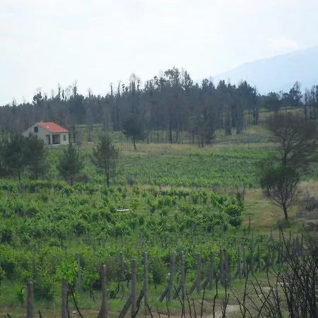 Horta Rija *