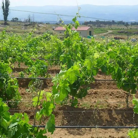 Horta Rija Σπίτι διακοπών *