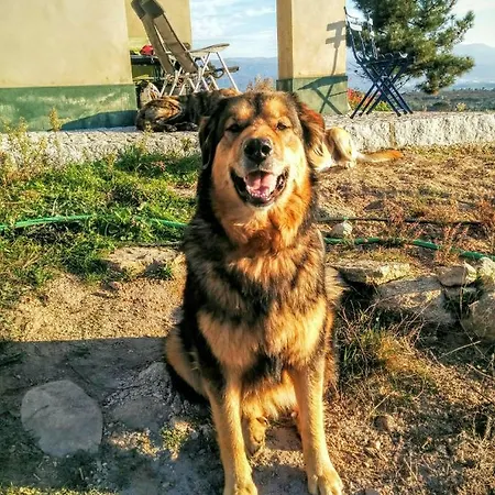 Horta Rija Σπίτι διακοπών