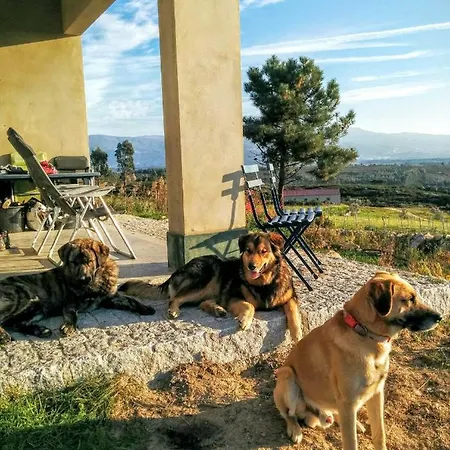 Σπίτι διακοπών Horta Rija *