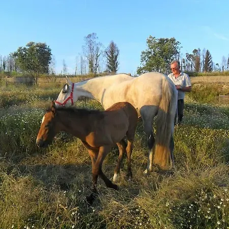 Σπίτι διακοπών Horta Rija Seia