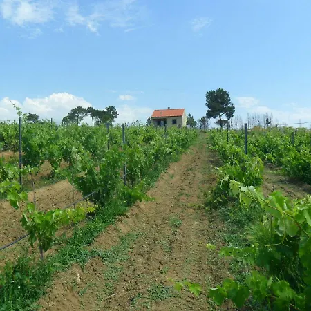 Horta Rija Σπίτι διακοπών Seia